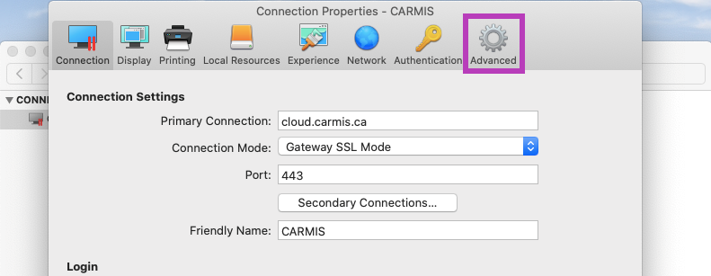 Advanced tab of connection properties window